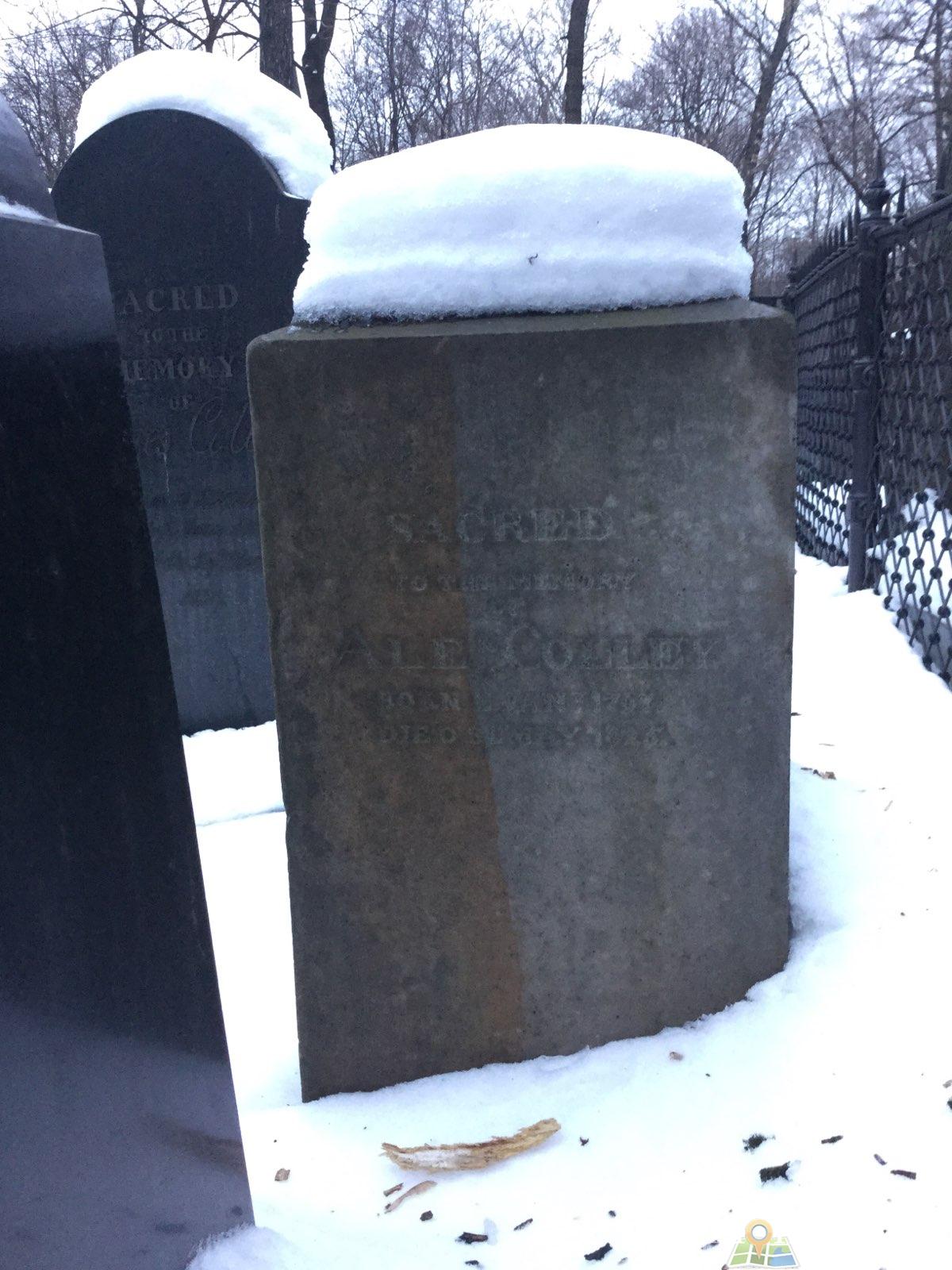 Colley Alb
