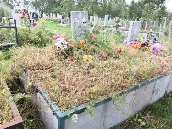 Гребнева Аделоида Александровна