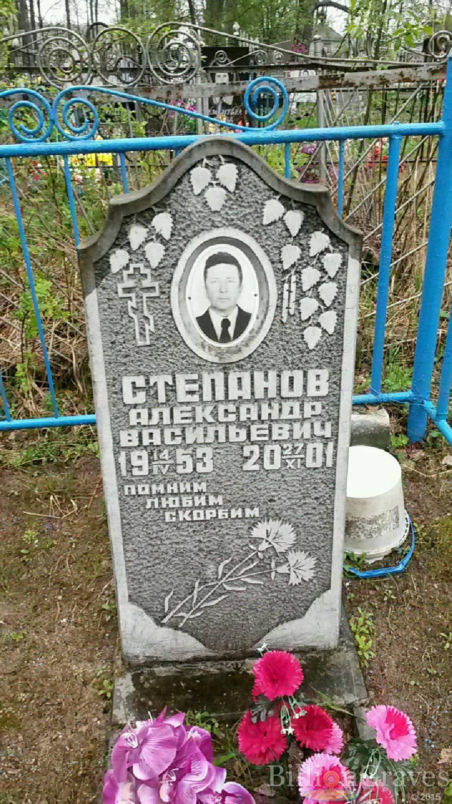 степанов александр васильевич