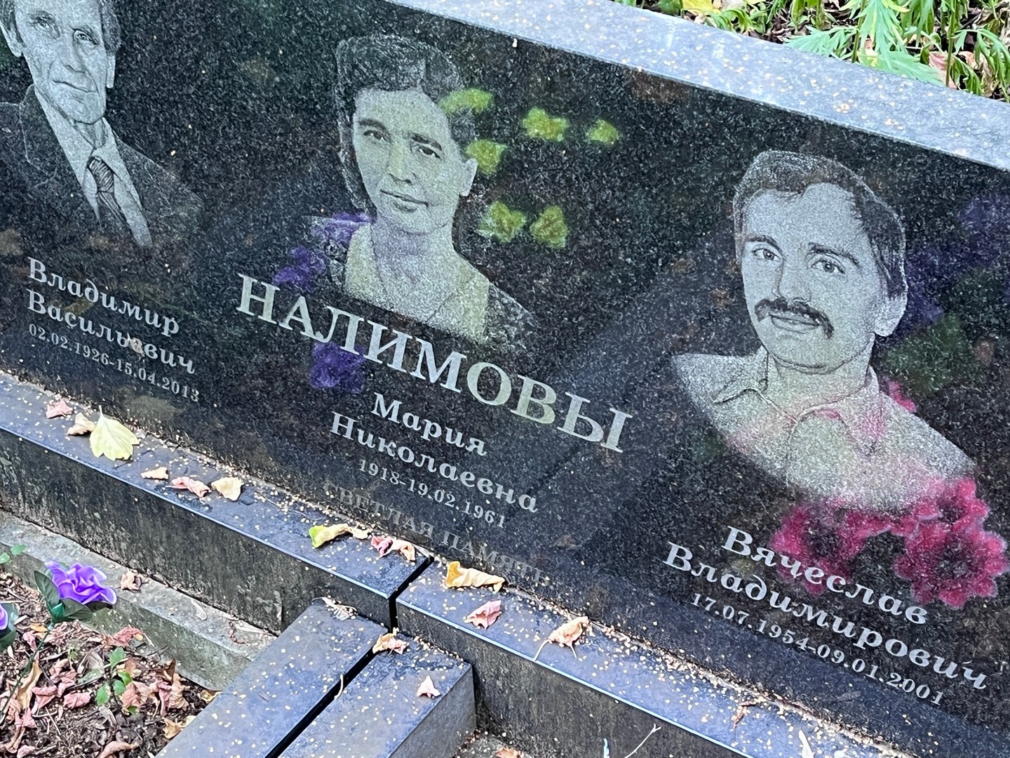 Налимов
