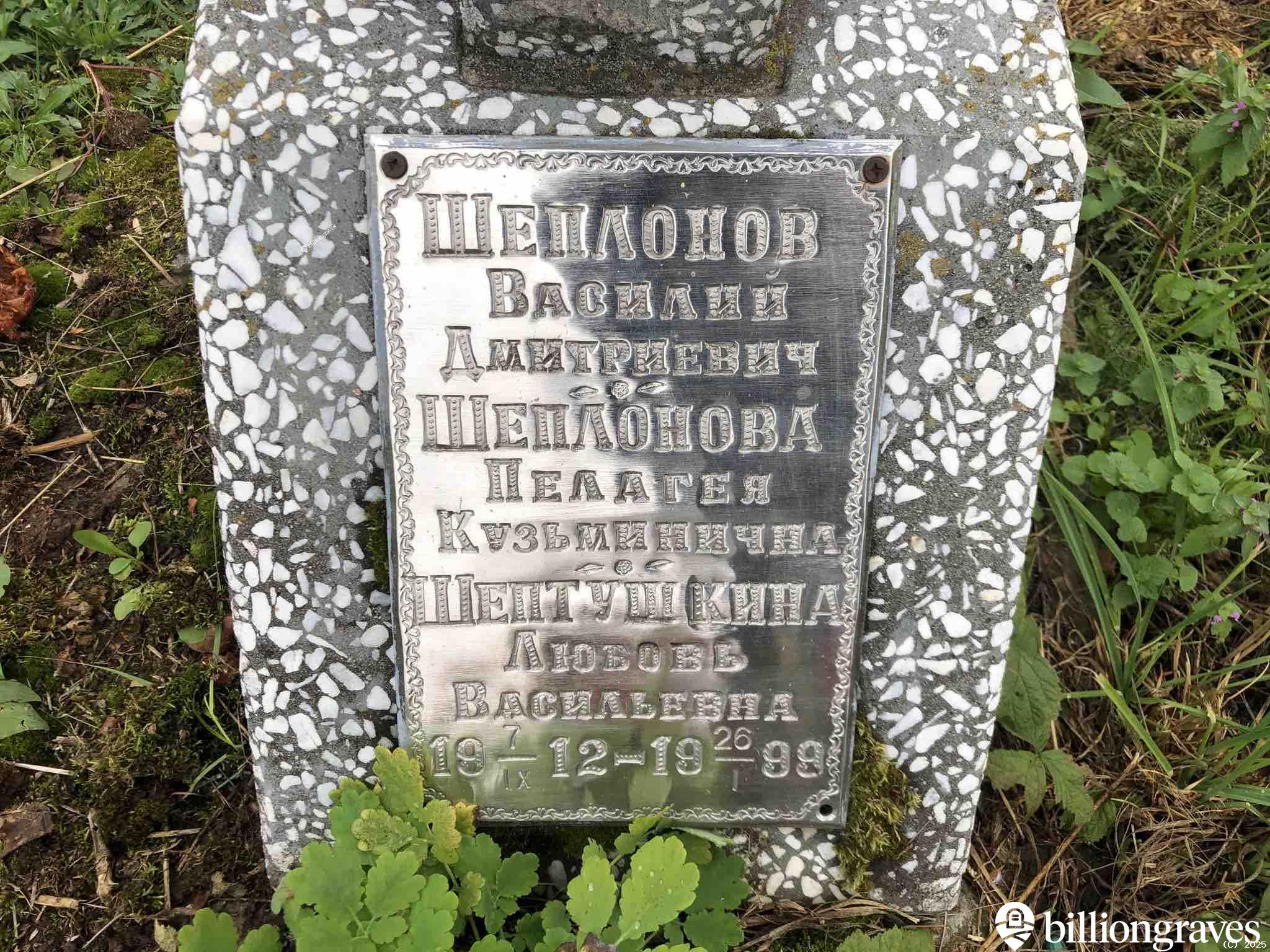 Шептушкина Любовь Васильевна