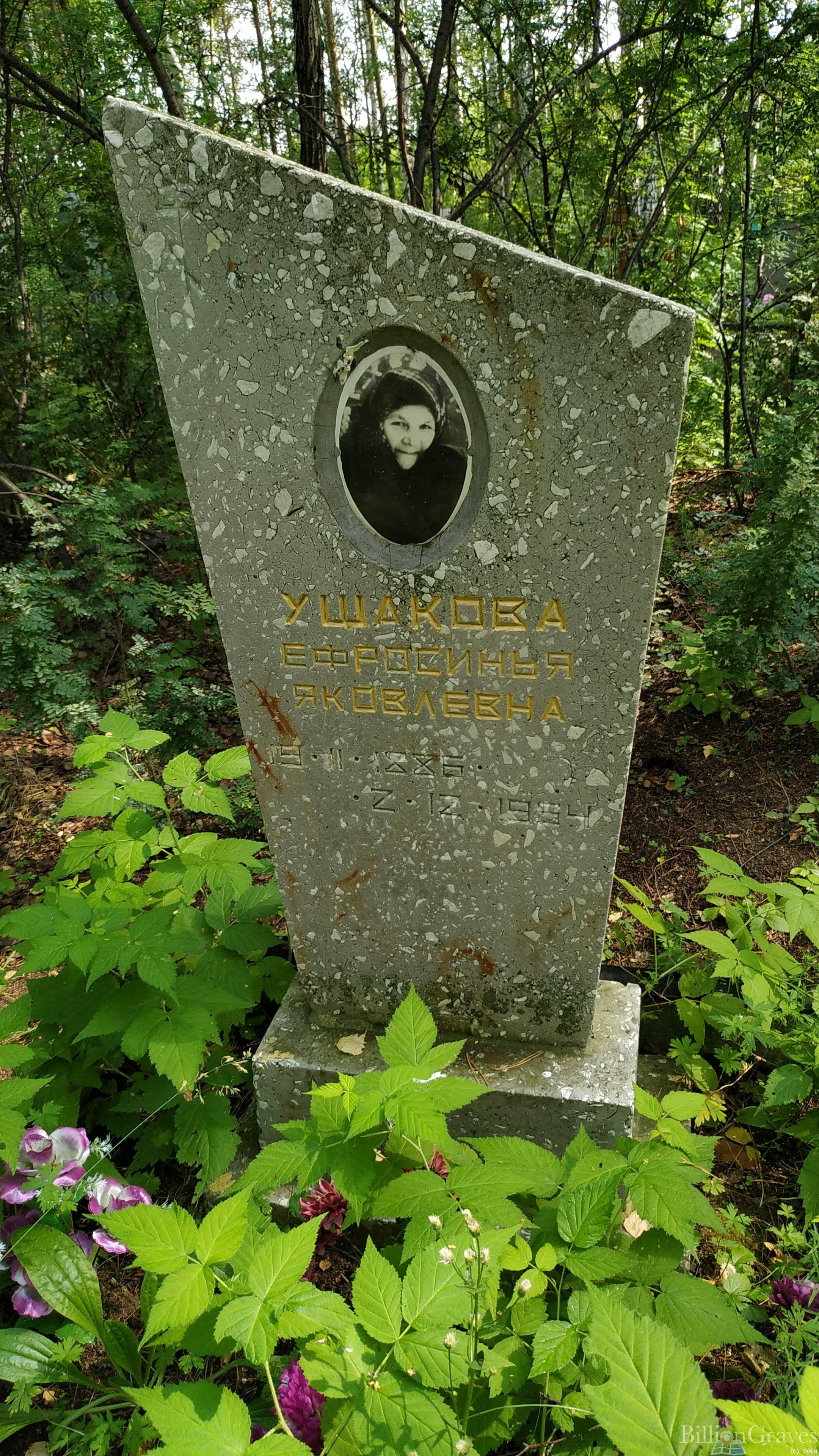 Ушакова Ефросинья Яковлевна