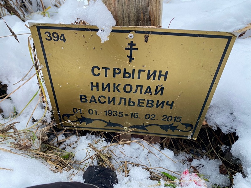 Стрыгин