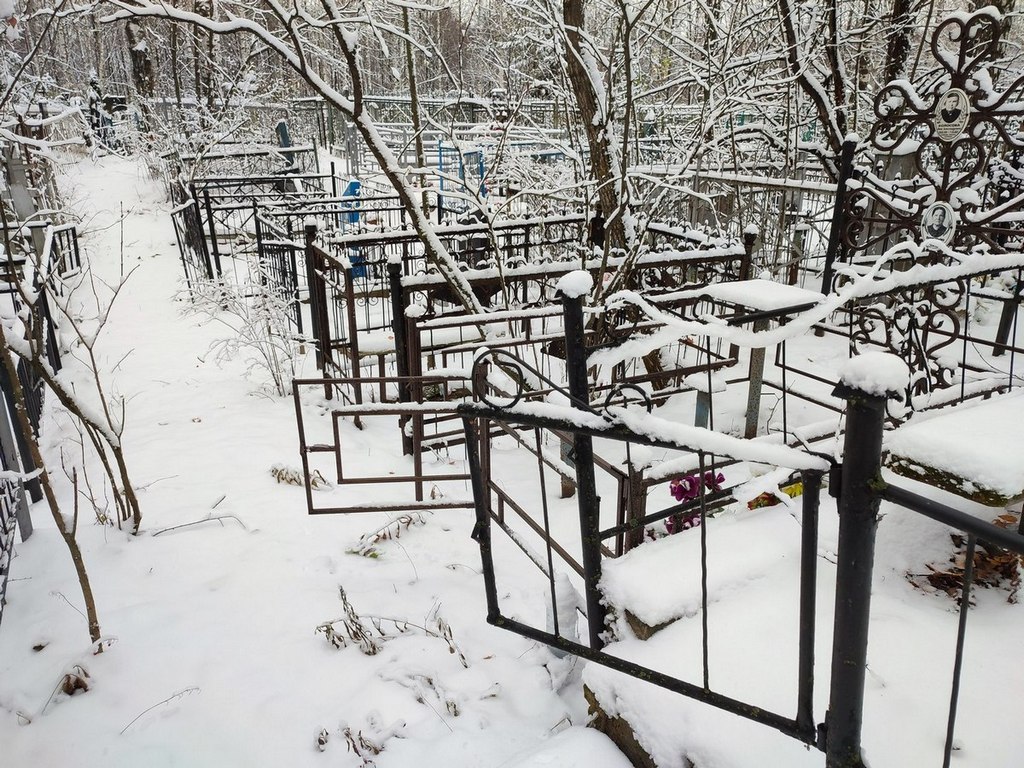 Колосова Анна Александровна