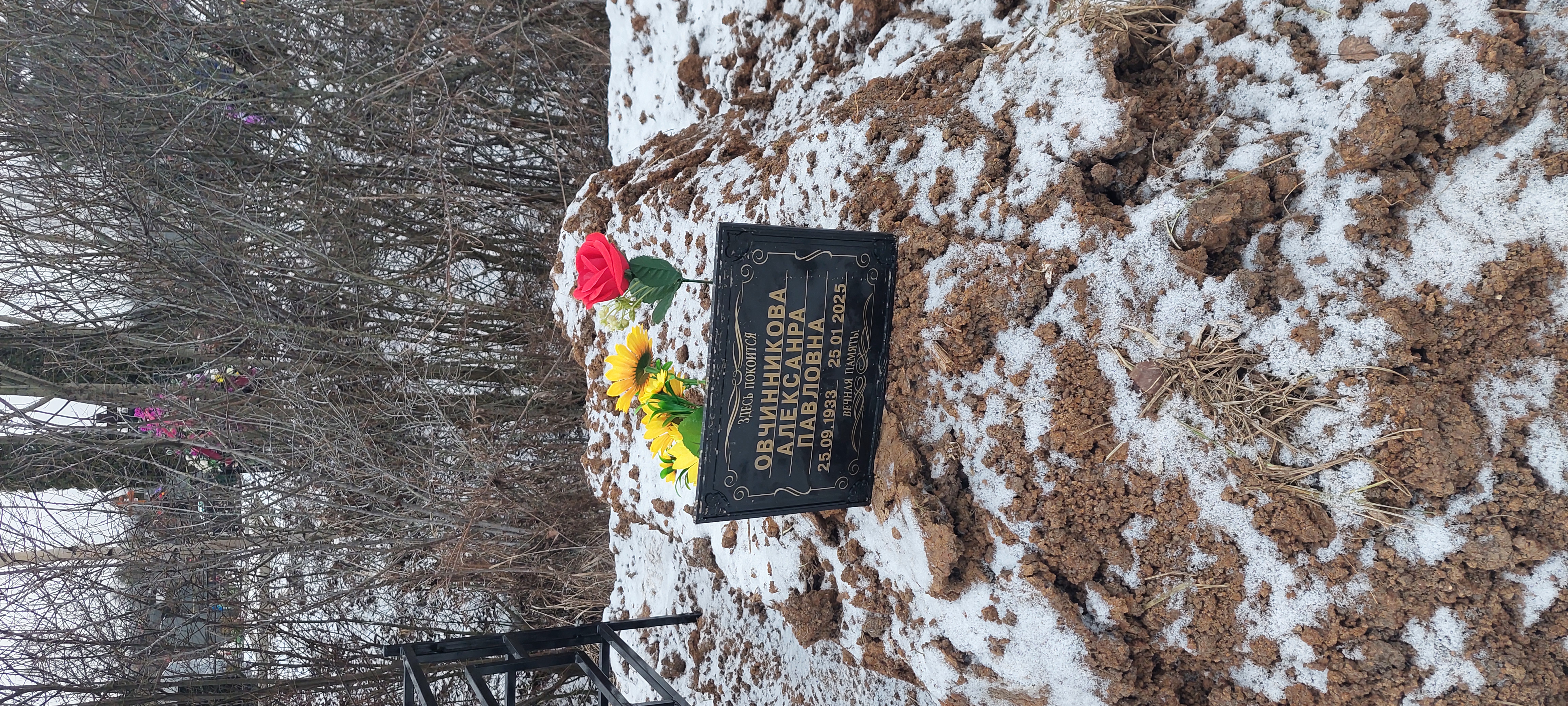 Овчинникова Александра Павловна