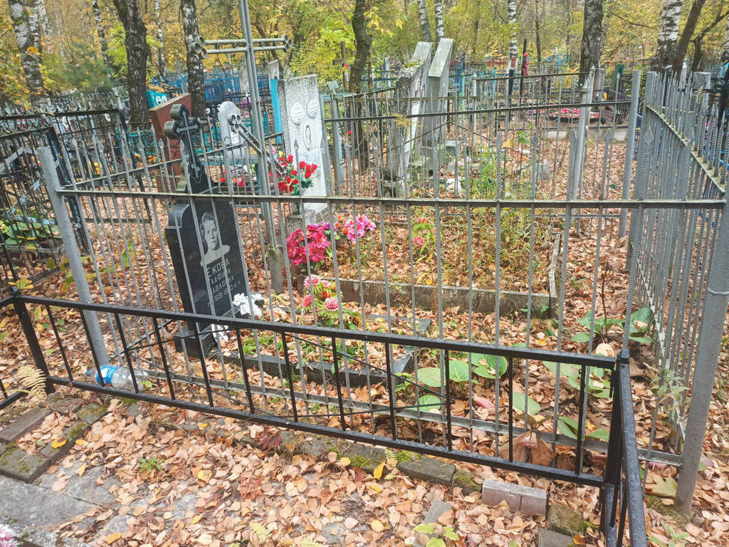 Ежова Глафира Павловна