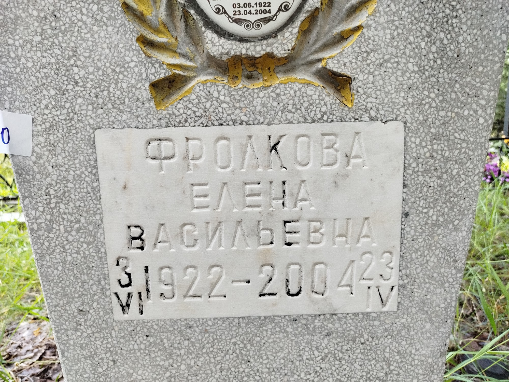 Фролкова Елена Васильевна