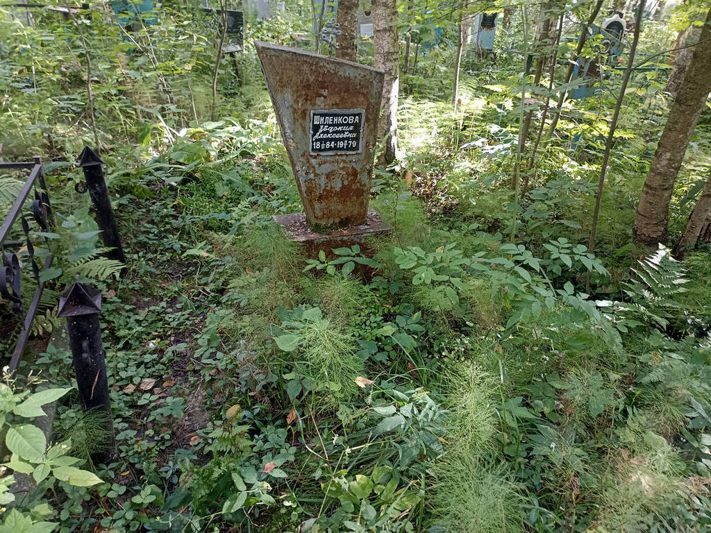 Шиленкова Евдокия Алексеевна
