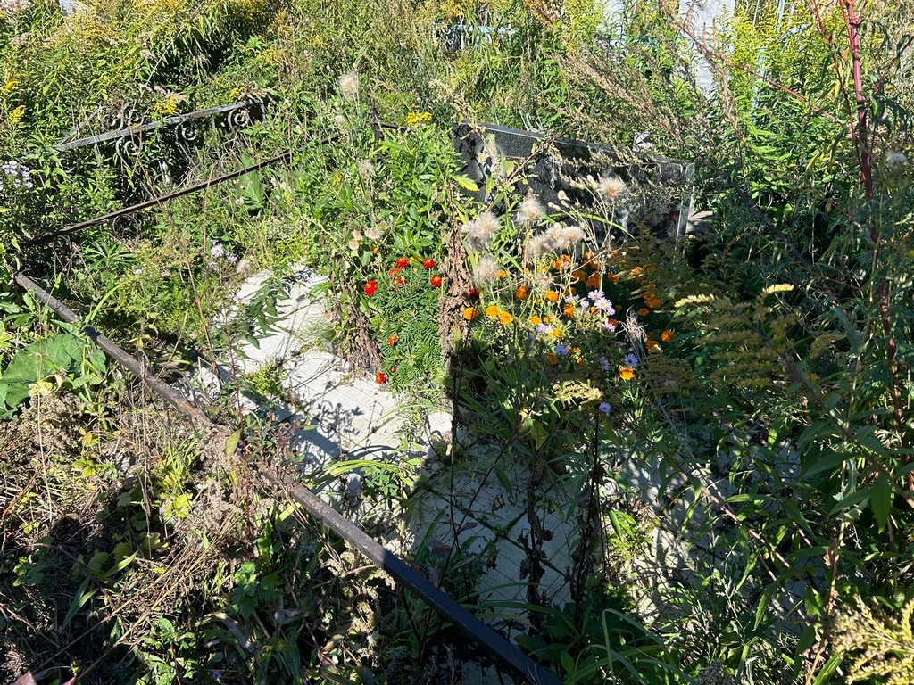 Круглецова Мария Васильевна