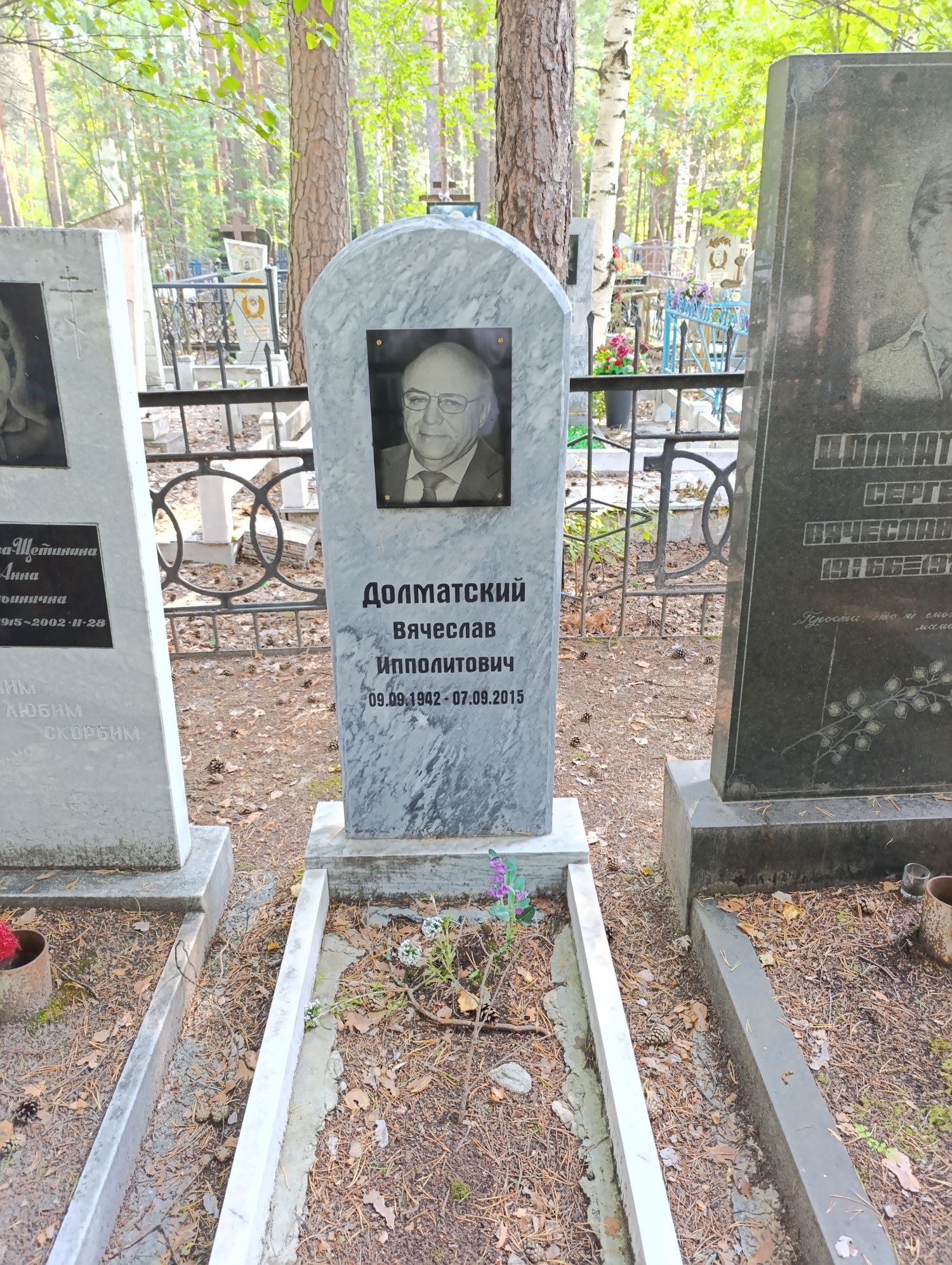 Долматский Вячеслав Ипполитович