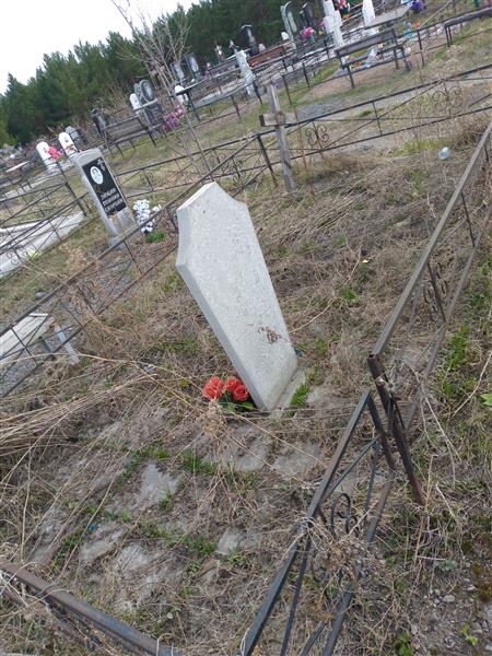 Гришанин Николай Петрович