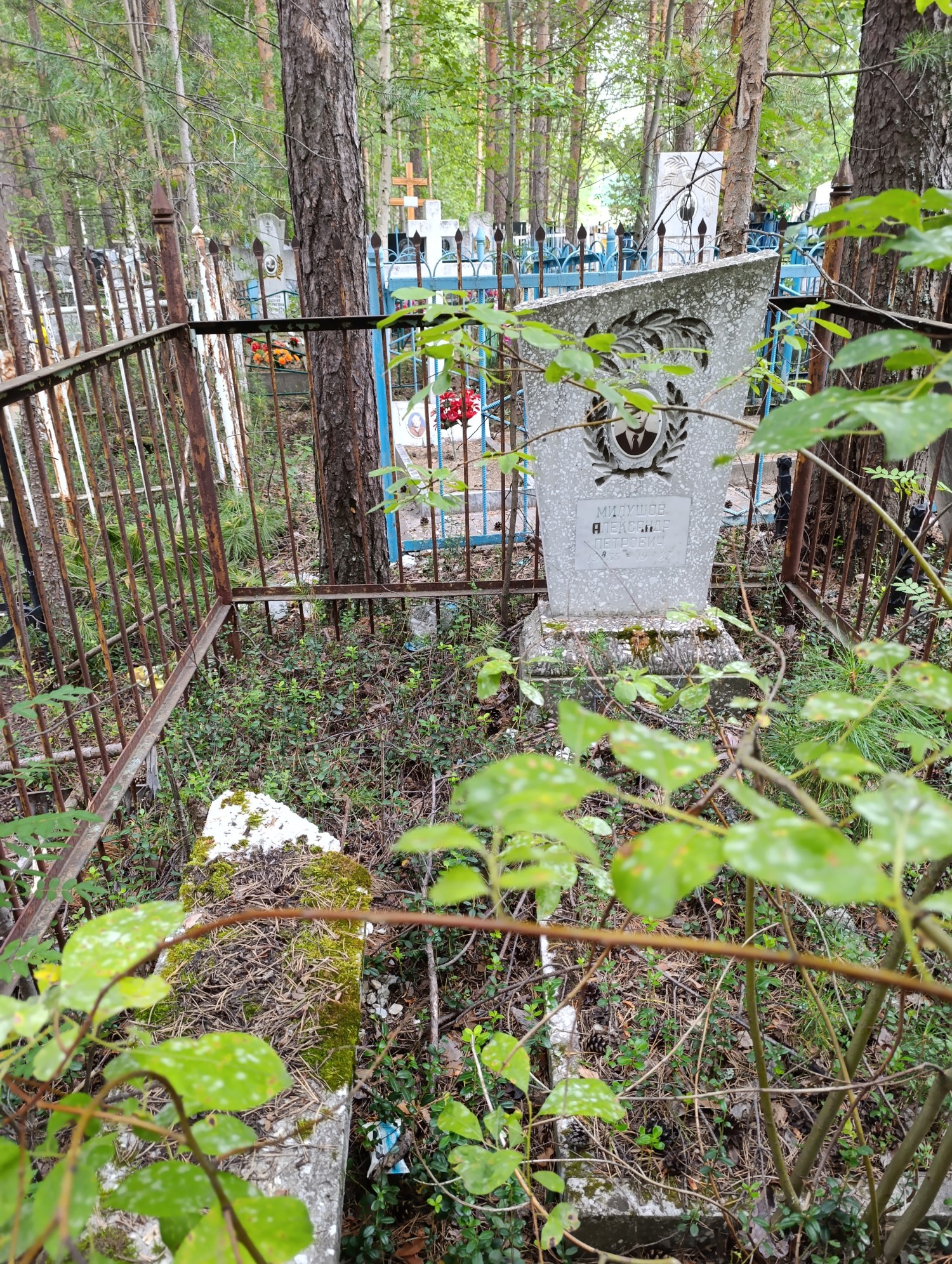 Милушов Александр Петрович
