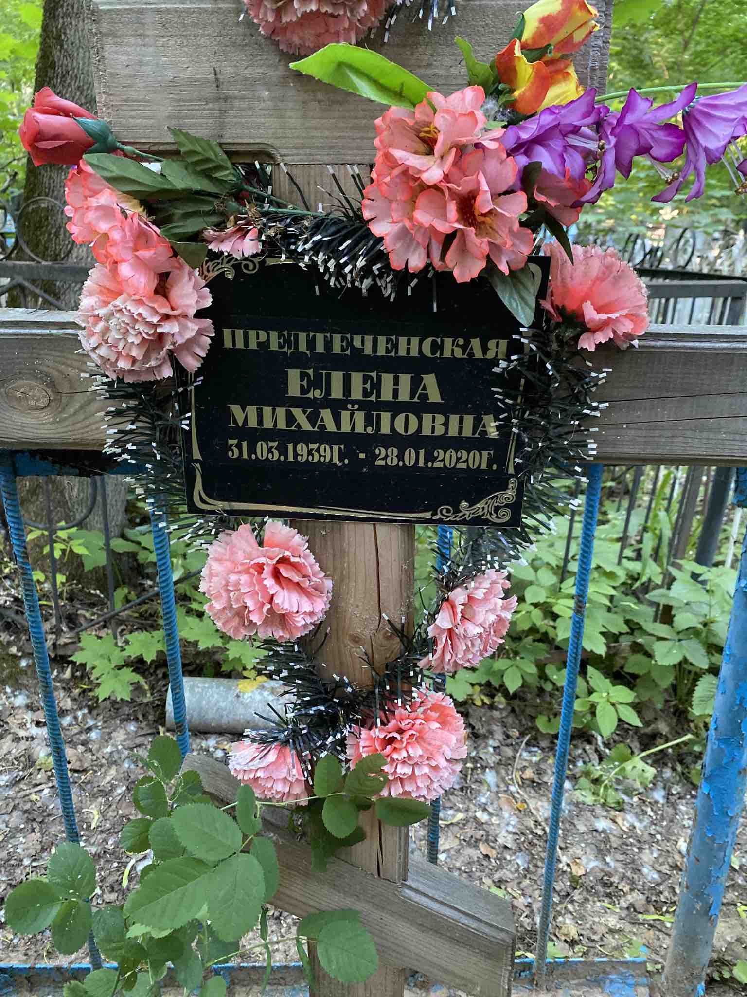 Предтеченская Елена Михайловна