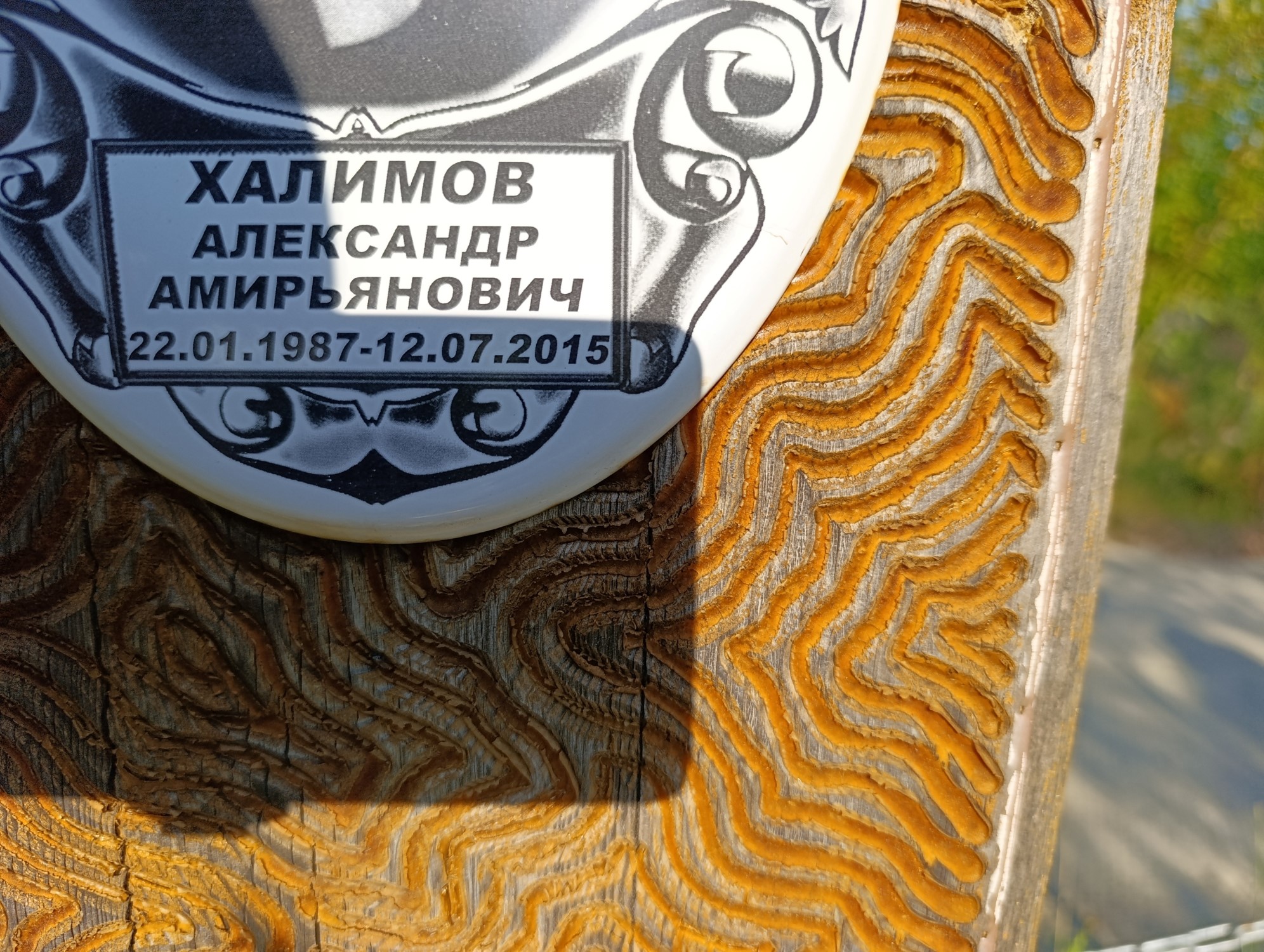 Халимов Александр Амирьянович