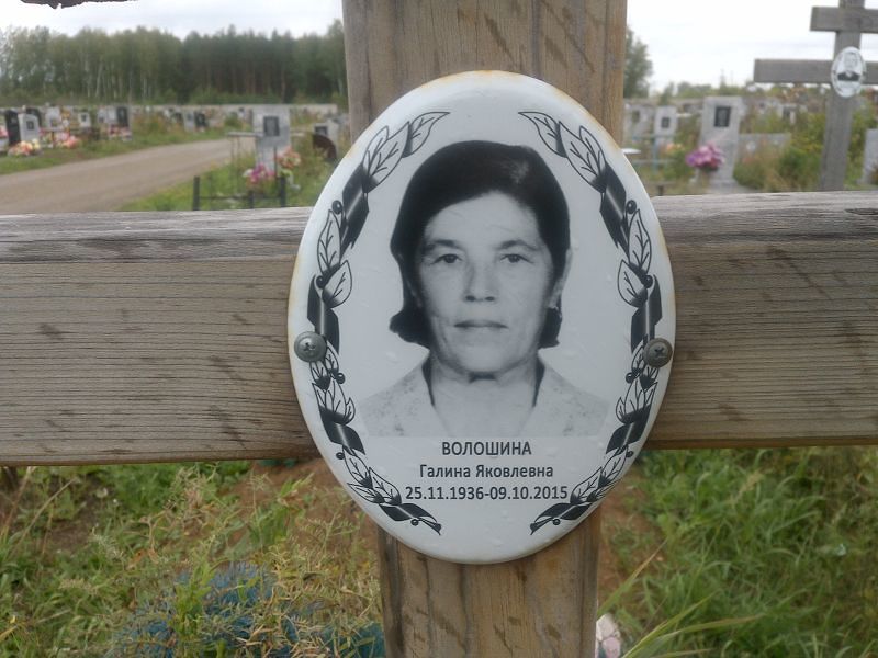 Волошина