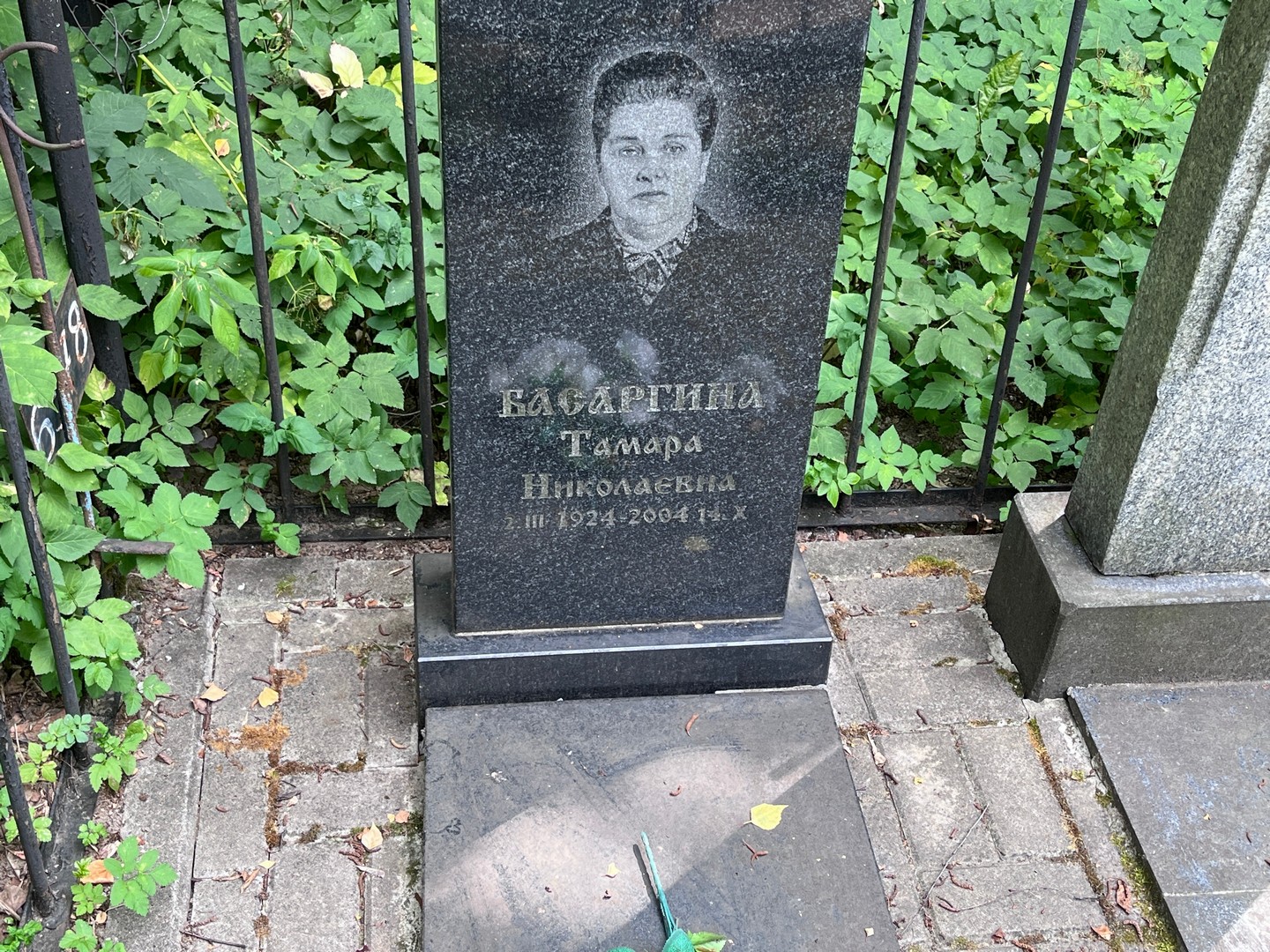 Басаргина