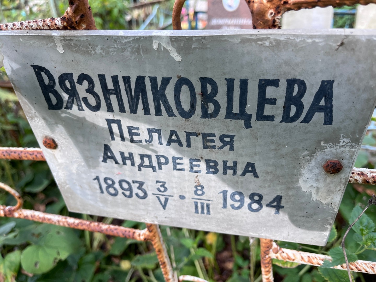 Вязниковцева Пелагея Андреевна