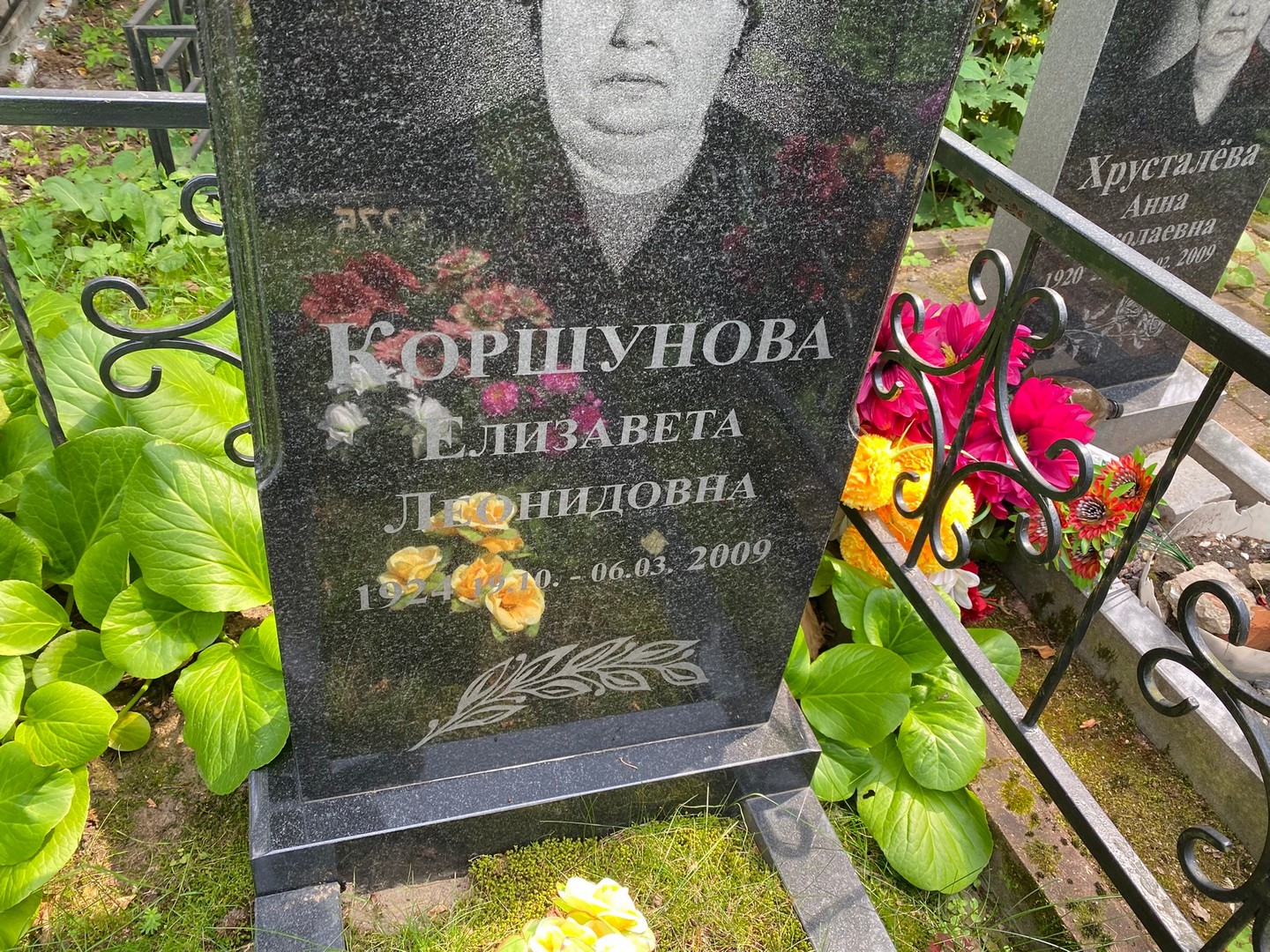 Коршунова