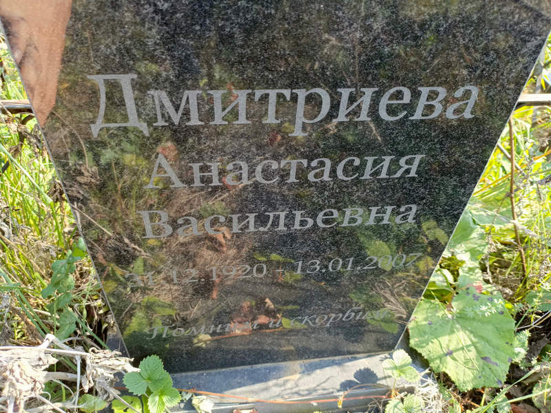 Дмитриева Анастасия Васильевна