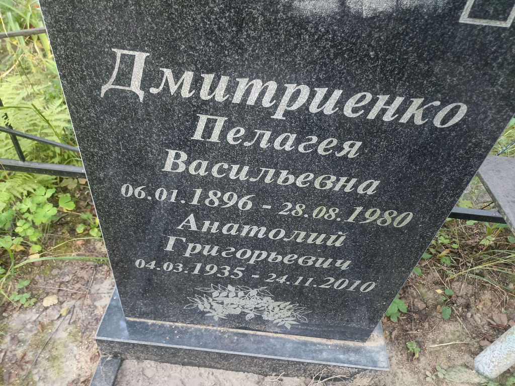 Дмитриенко Анатолий Григорьевич