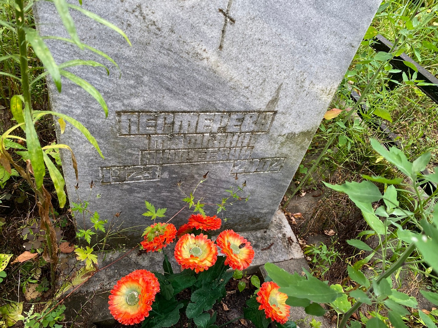 Пестерева