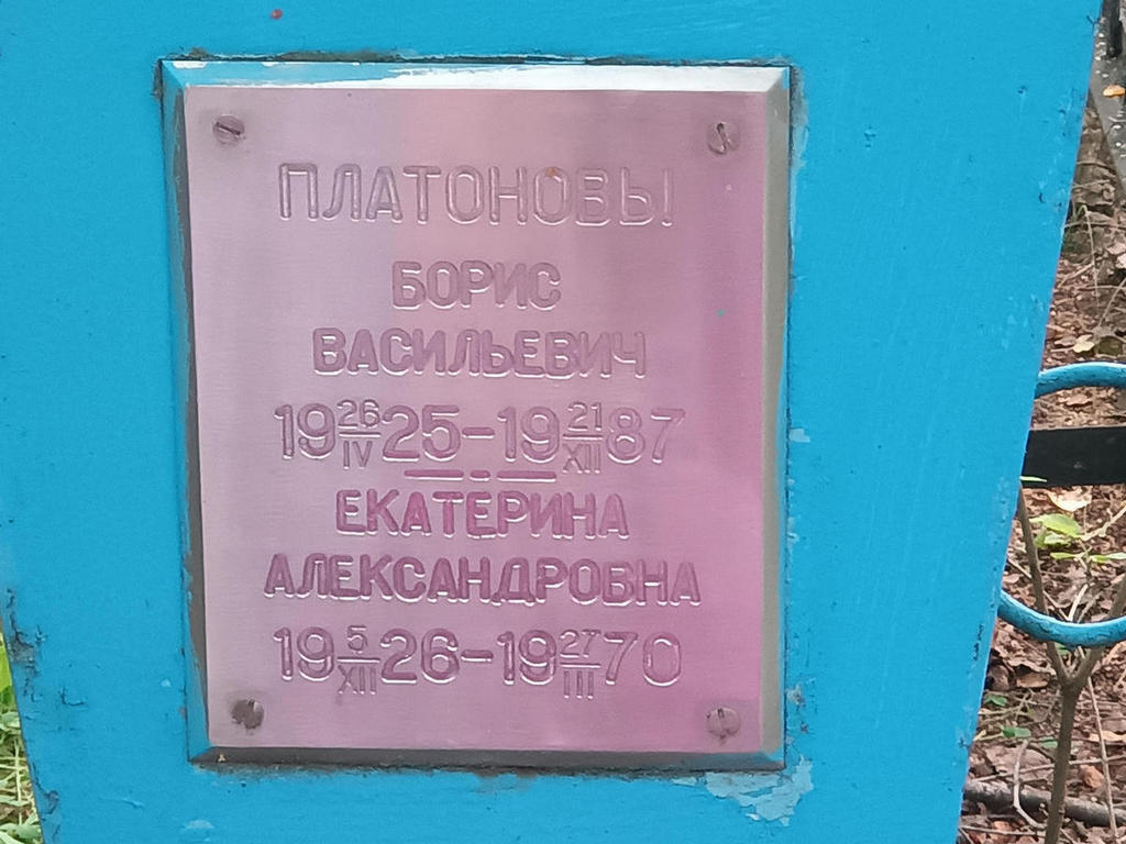 Платонова Екатерина Александровна