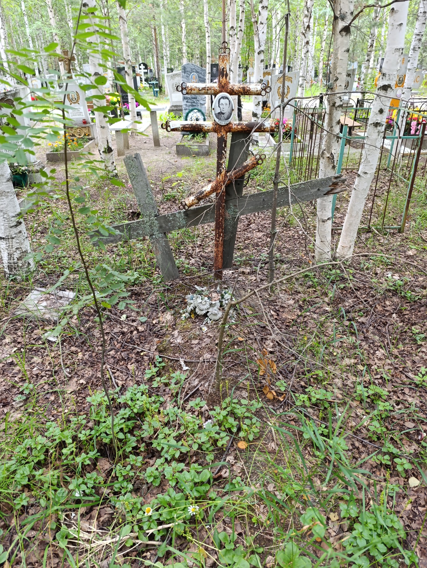 Половинкин Анатолий Сергеевич