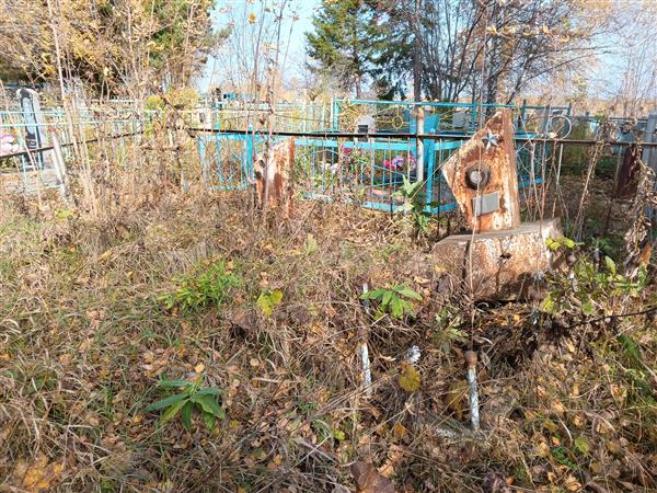 Радыгин Анатолий Васильевич