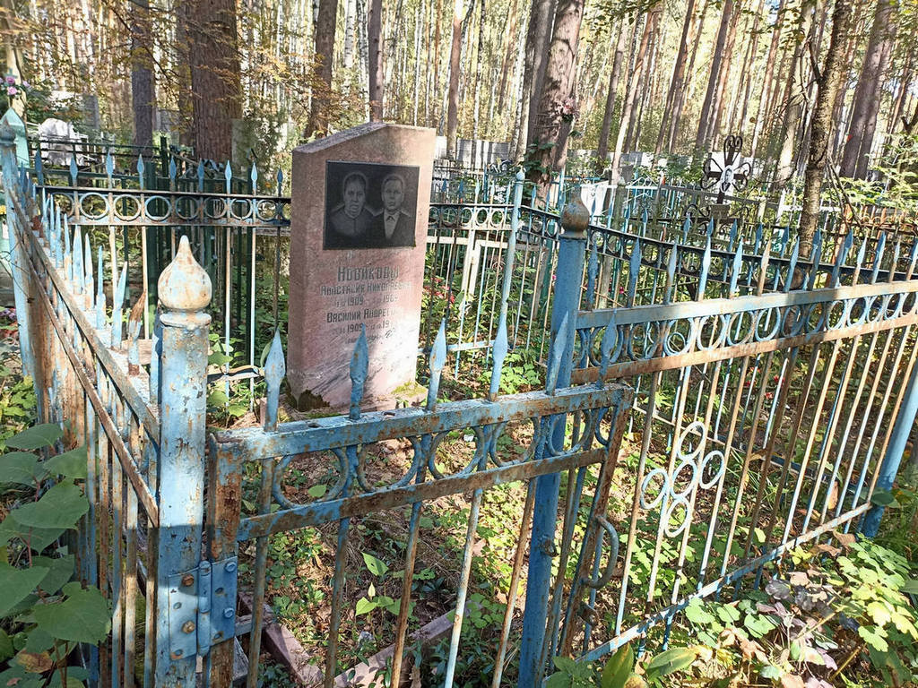 Новикова Анастасия Николаевна