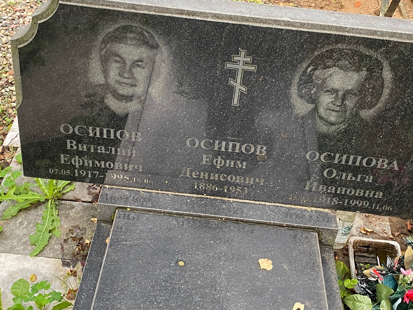 Осипов
