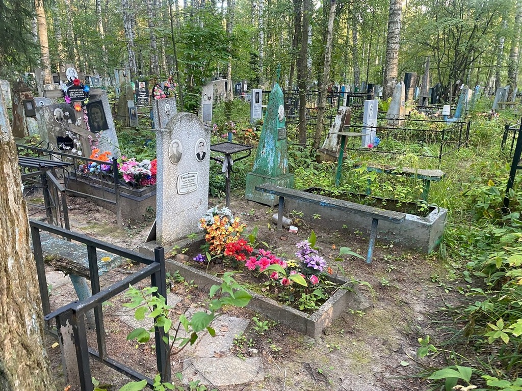 Голубин Владимир Семенович
