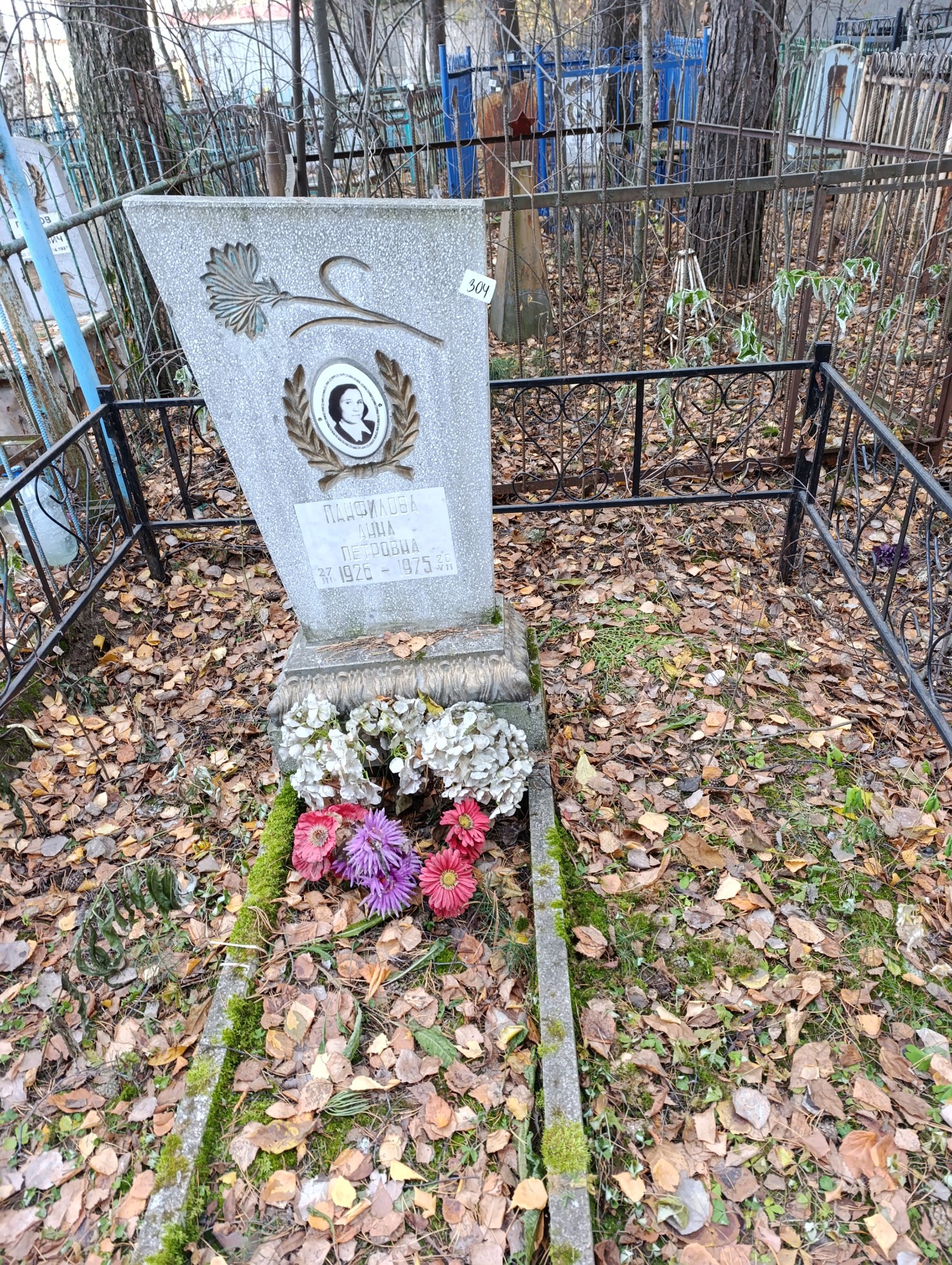 Панфилова Анна Петровна
