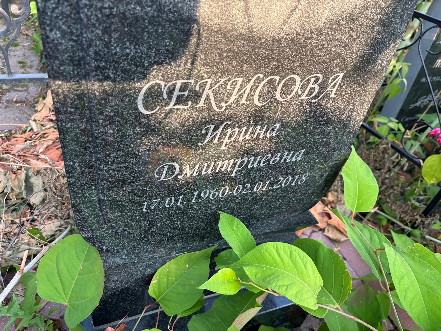 Секисова