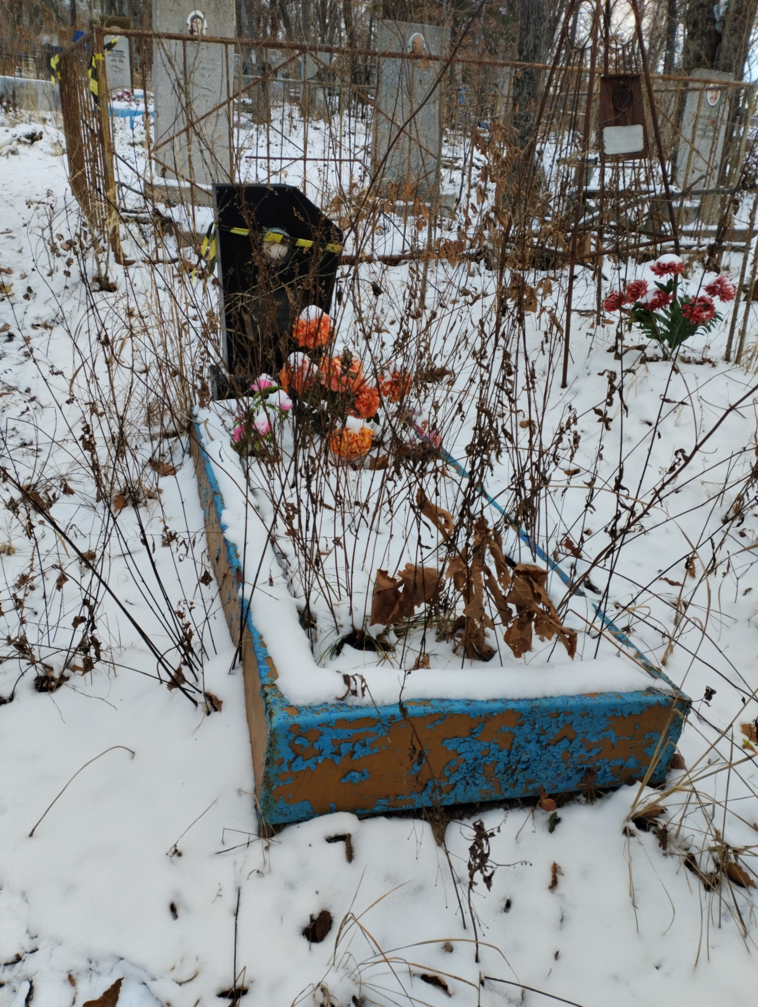 Хижняк Алена Даниловна