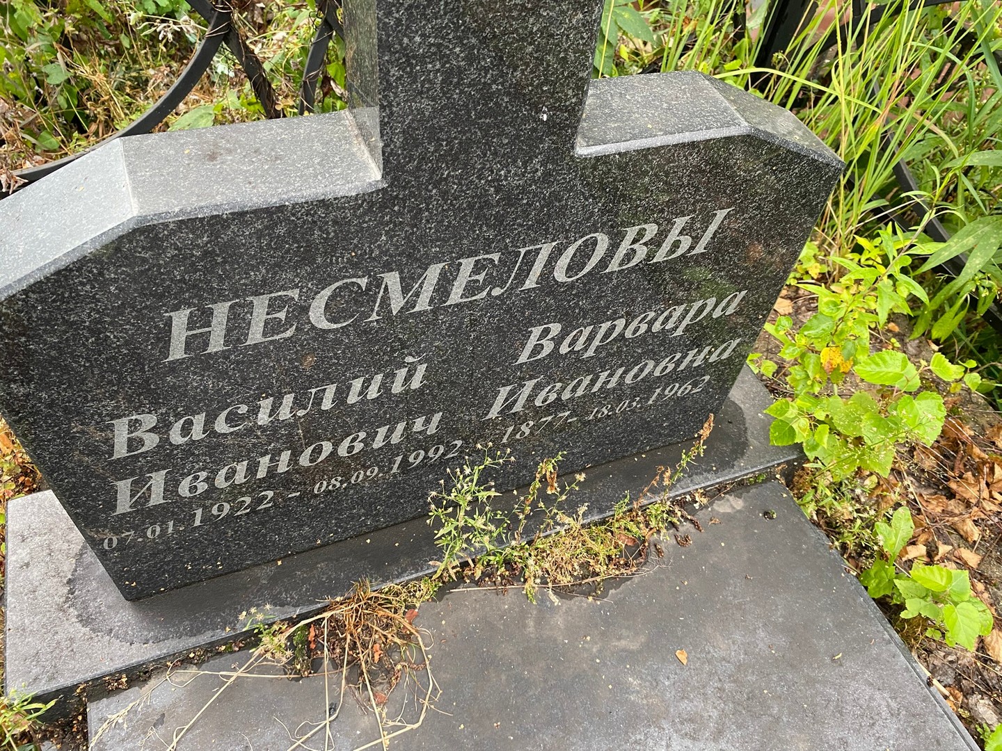 Несмелов