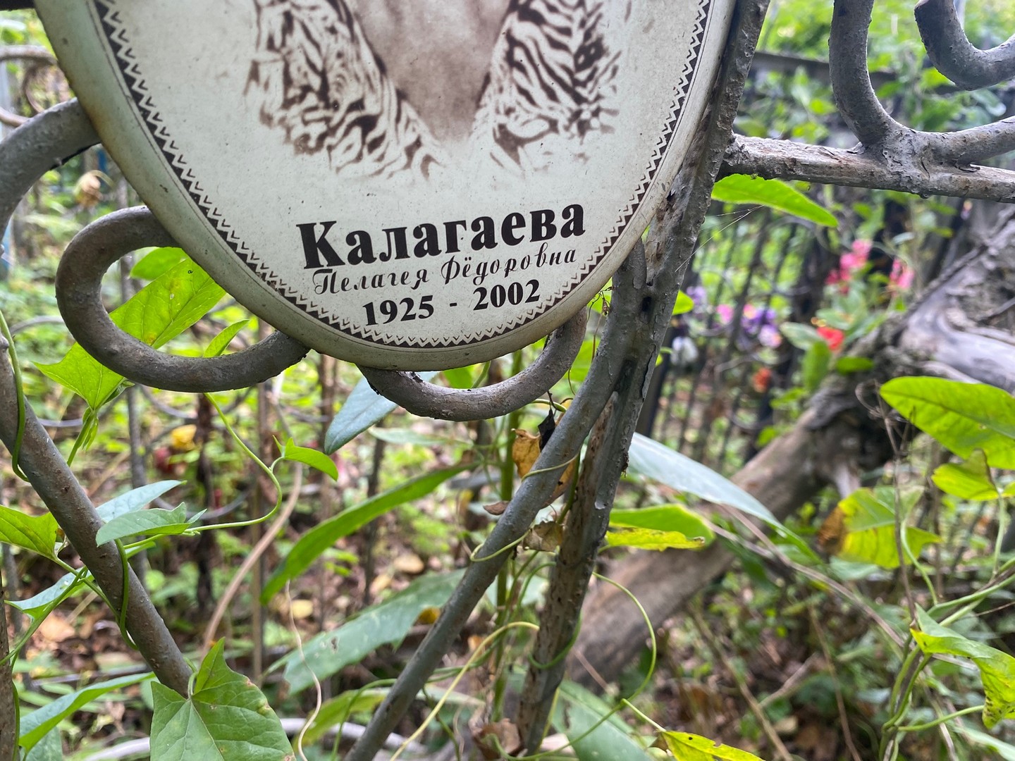 Калагаева Пелагея Федоровна
