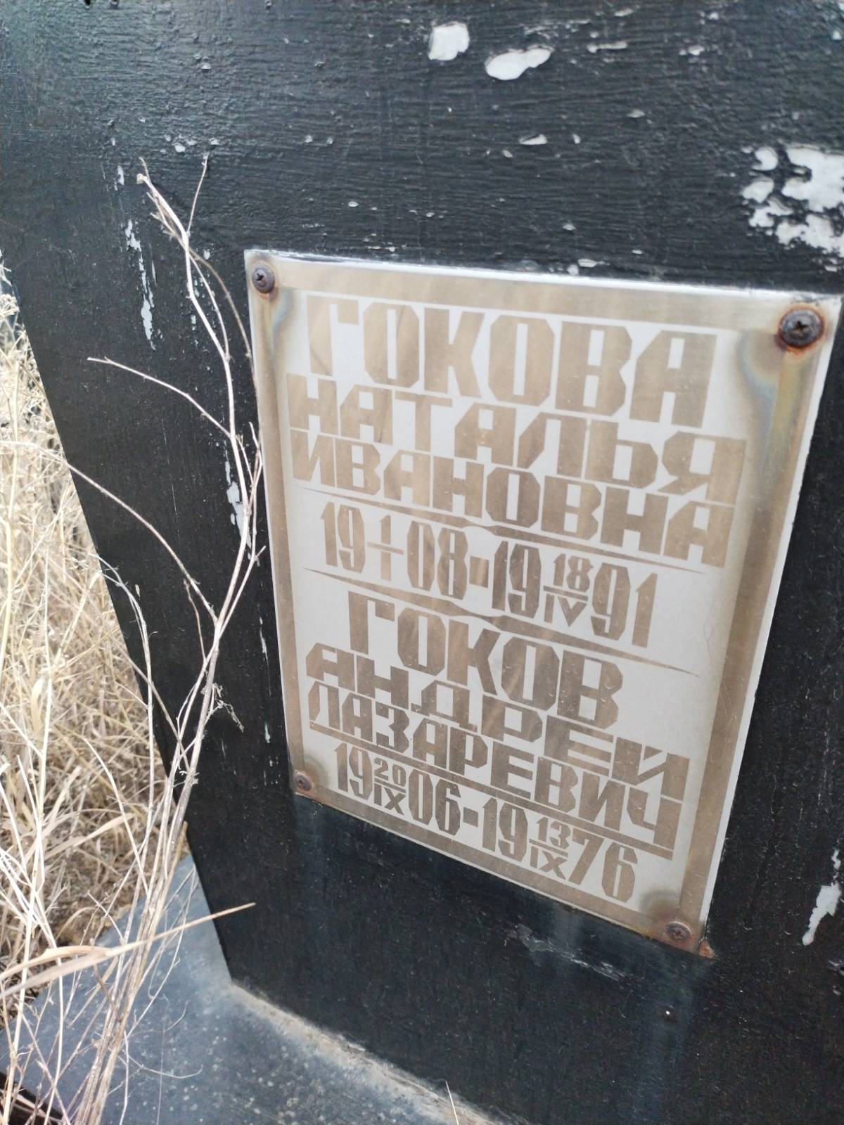 Гокова Наталья Ивановна