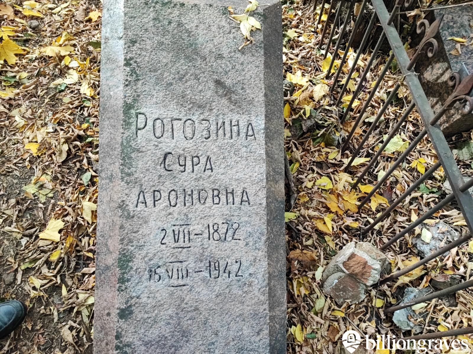 Рогозина Сура Ароновна