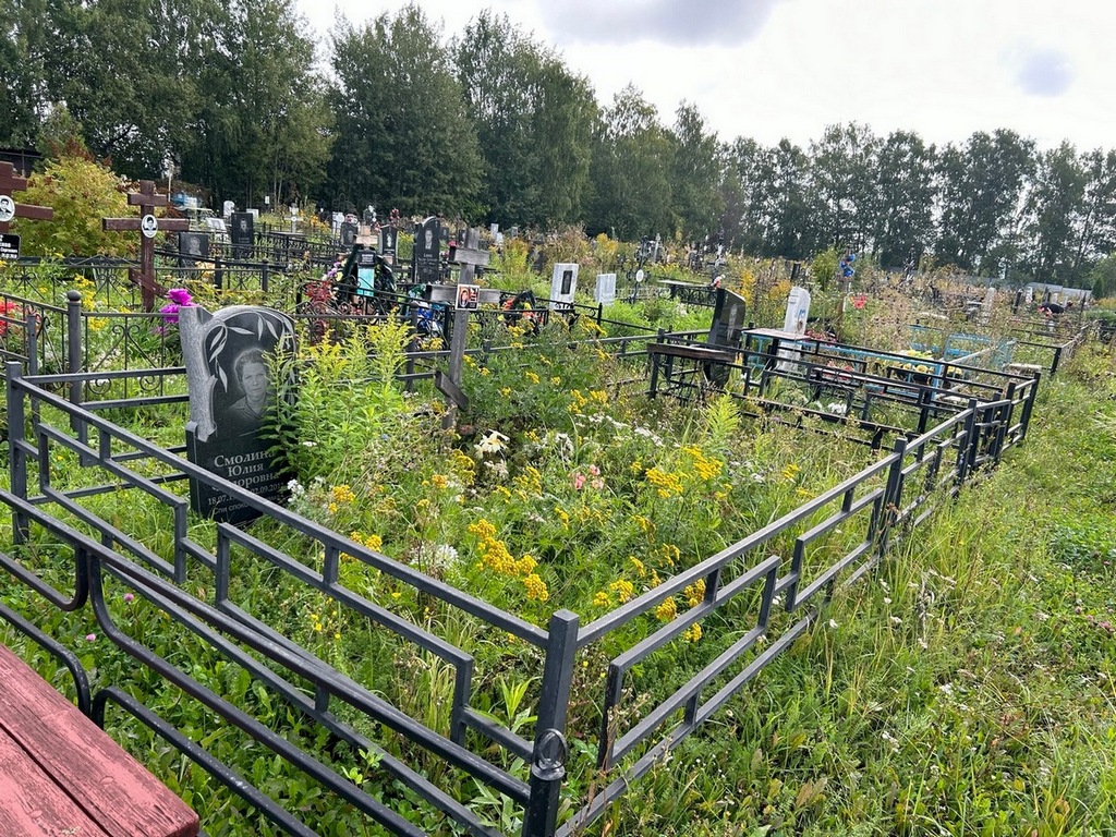 Смолина Юлия Федоровна