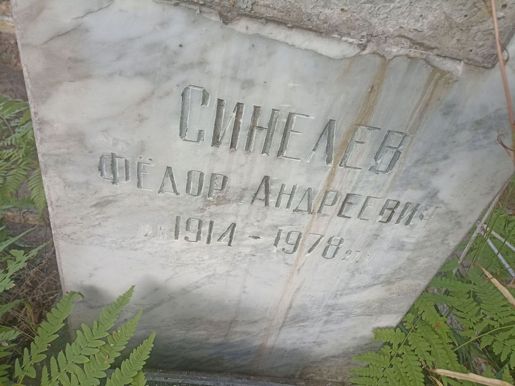 Синелев Федор Андреевич
