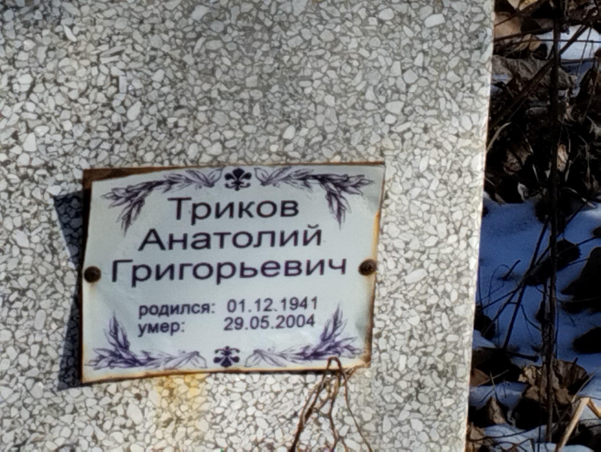 Триков Анатолий Григорьевич