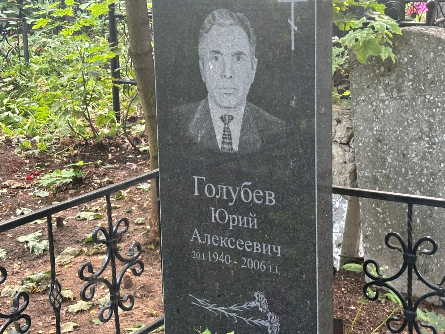 Голубев