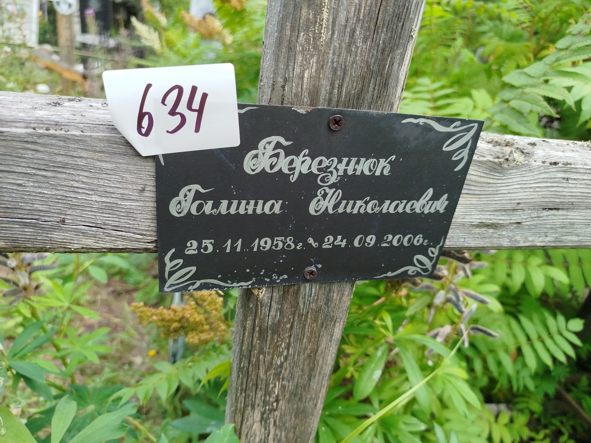 Березнюк Галина Николаевна