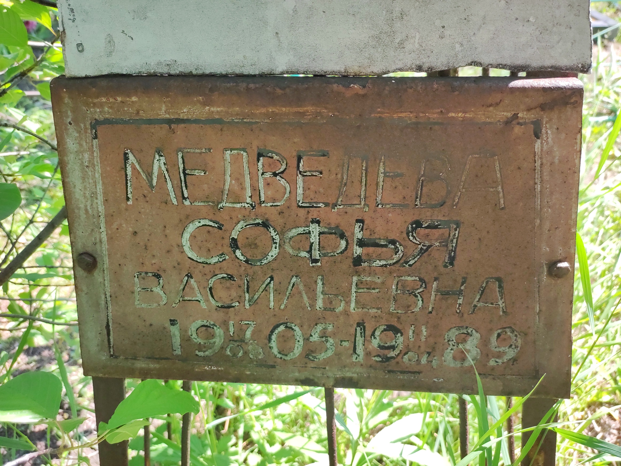 Медведева Софья Васильевна
