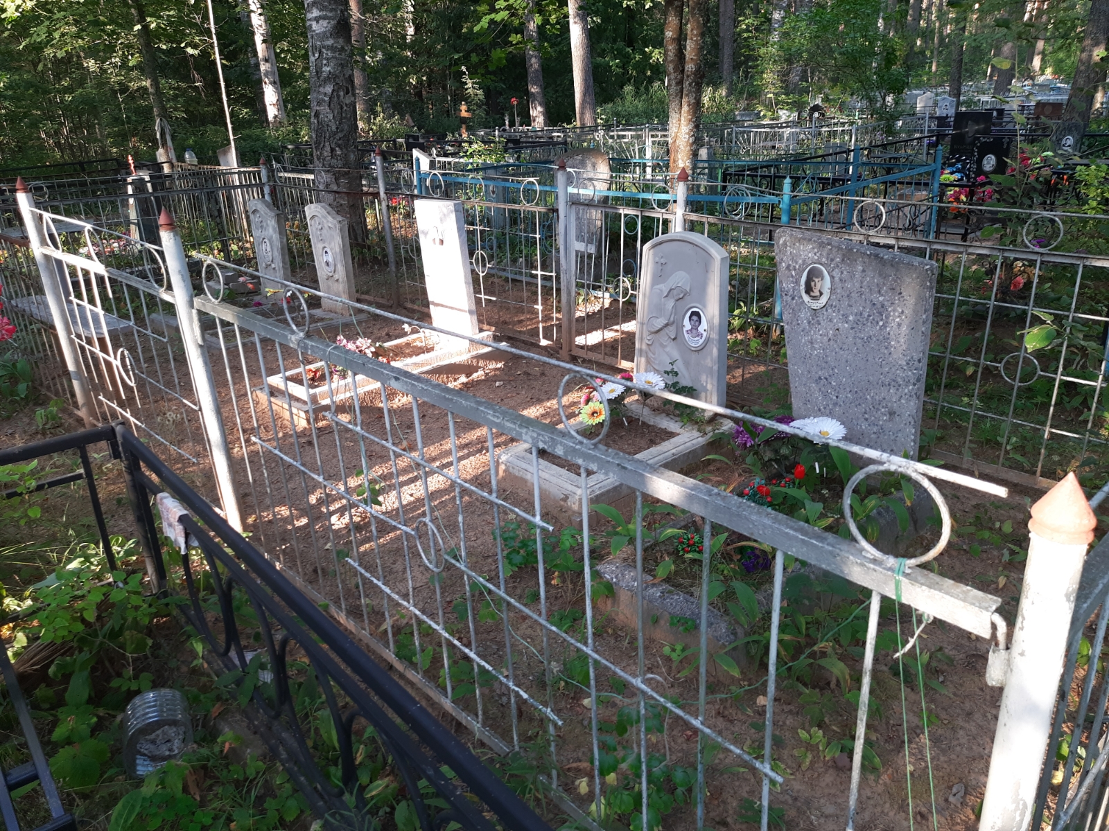 Петровцев Вячеслав Васильевич