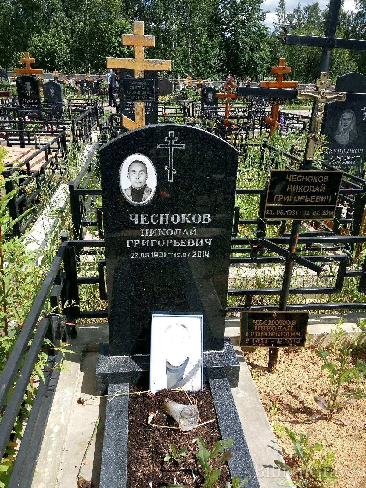 Чесноков Николай Григорьевич