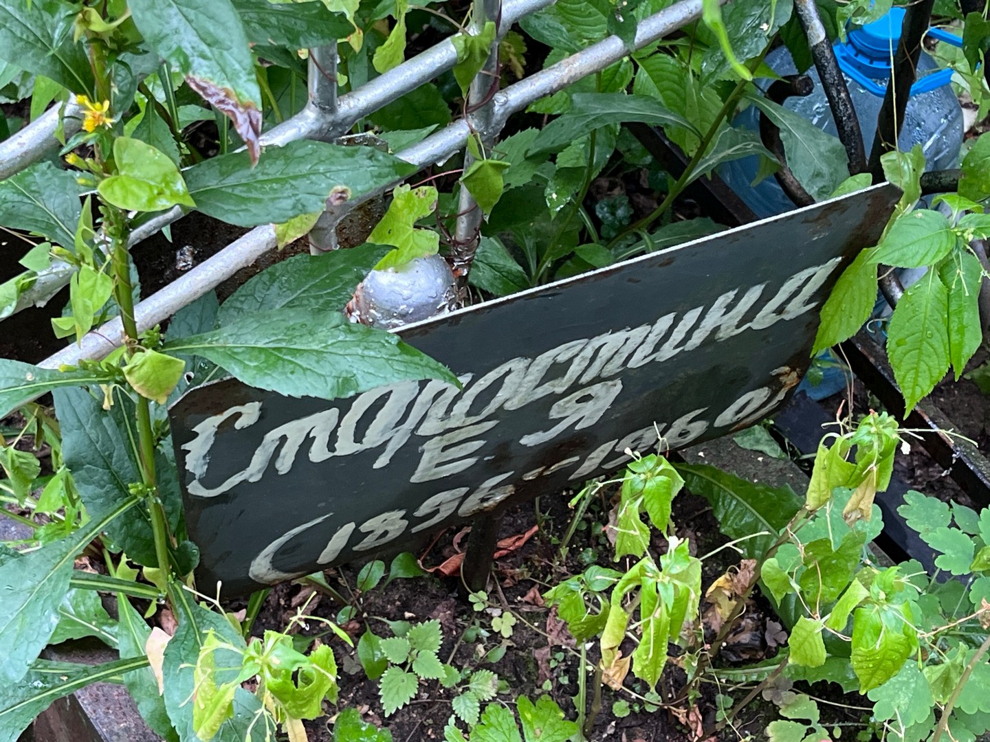 Е Старостина Я