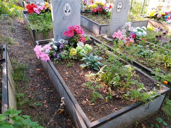 Окалина Надежда Александровна