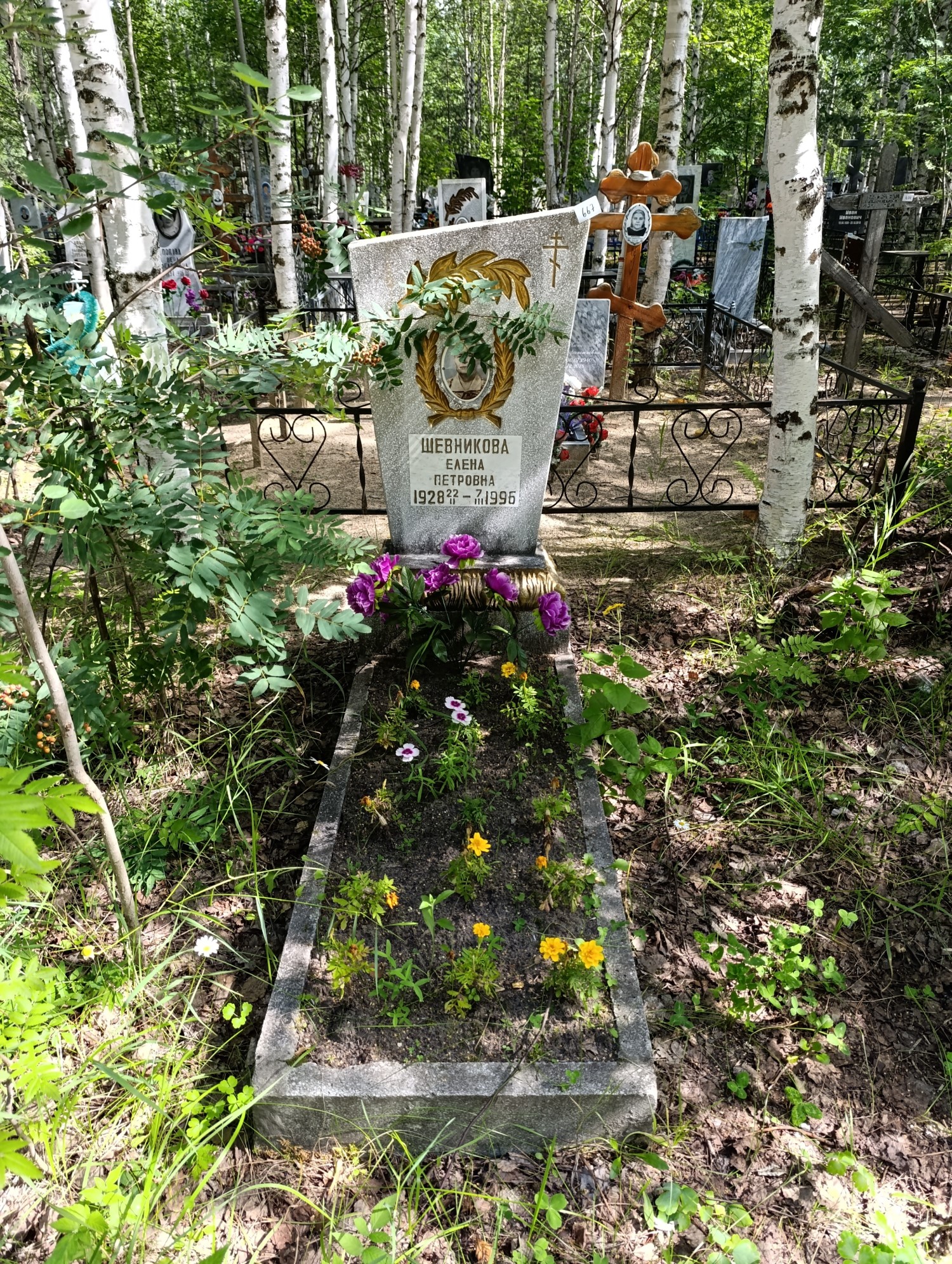 Шевникова Елена Петровна