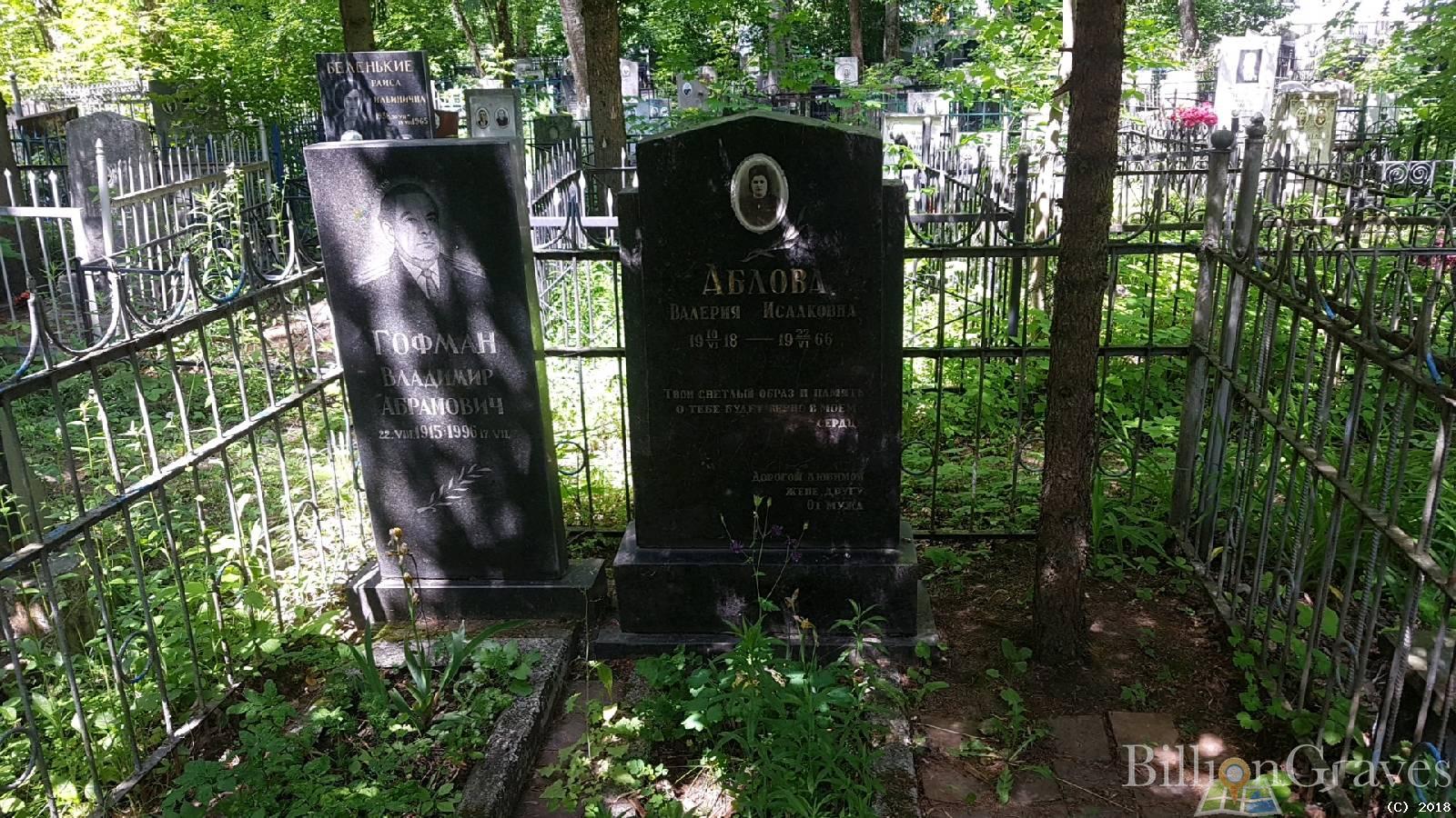 Гофман Владимир Абрамович